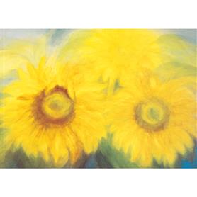 Ansichtkaart | Zonnebloem