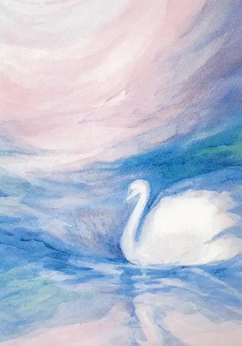 Ansichtkaart | Zwaan